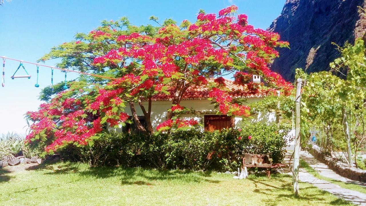 Faja Dos Padres Villa Ribeira Brava Kültér fotó