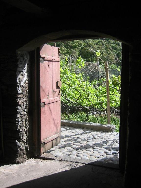 Faja Dos Padres Villa Ribeira Brava Kültér fotó