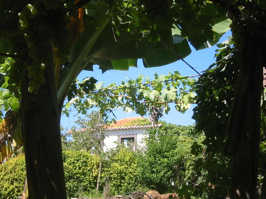 Faja Dos Padres Villa Ribeira Brava Kültér fotó