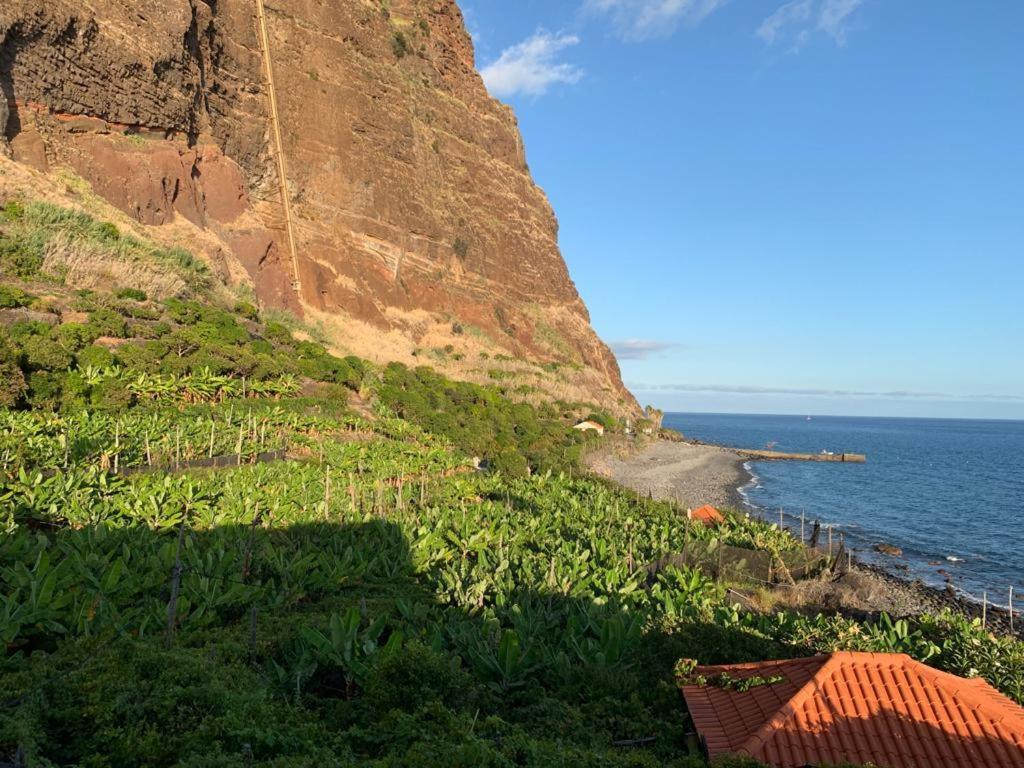 Faja Dos Padres Villa Ribeira Brava Kültér fotó